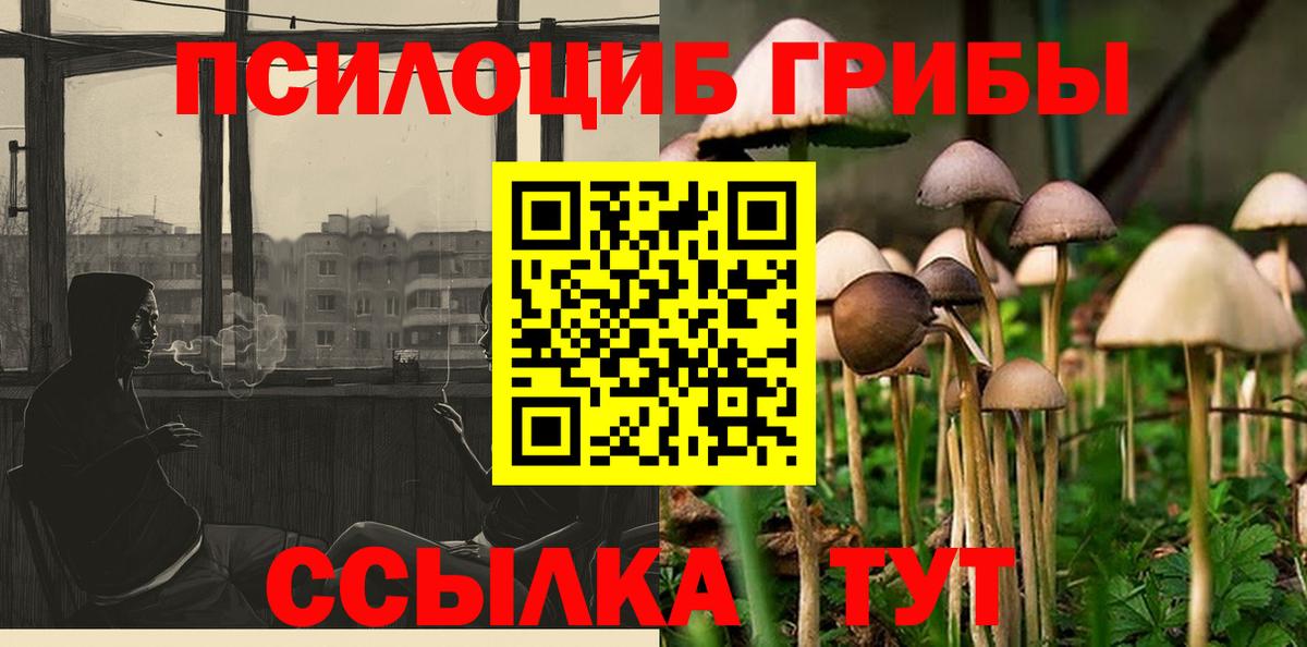 Галлюциногенные грибы мицелий Бугуруслан